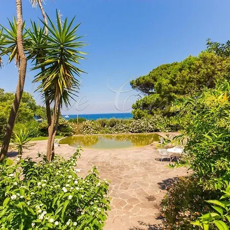 Villa Private Villa In Ischia - Italy Ischia